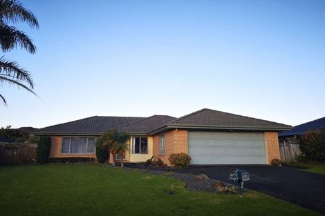 Photo of property in 17 Hillwell Drive, Henderson, Auckland, 0612