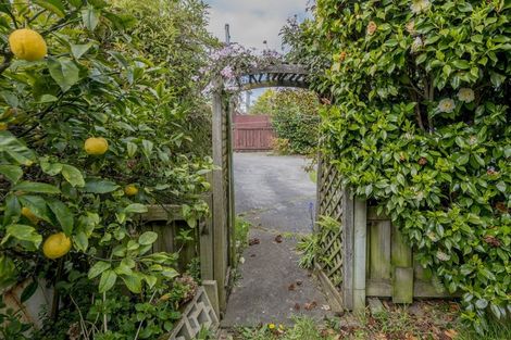 Photo of property in 38a Saint Annes Street, Levin, 5510