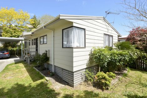 Photo of property in 84a Jonathon Street, Brookfield, Tauranga, 3110