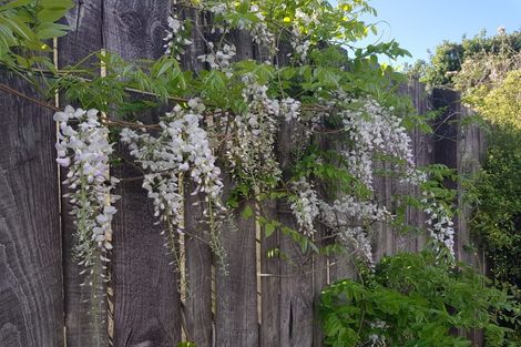 Photo of property in 2/5 Chokebore Place, Sockburn, Christchurch, 8042