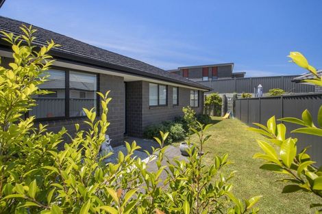 Photo of property in 5 Moss Lane, Omokoroa, 3114
