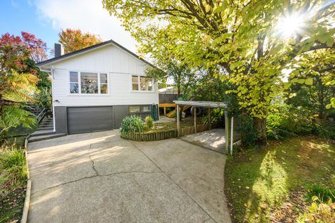 Photo of property in 11 Juliana Place, Awapuni, Palmerston North, 4412