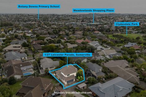 Photo of property in 1/27 Leicester Parade, Somerville, Auckland, 2014