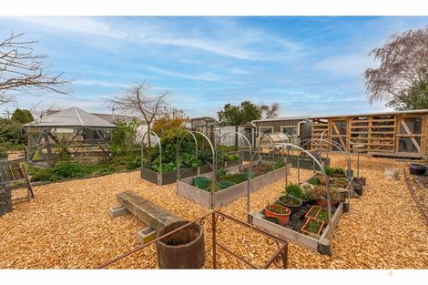 Photo of property in 8 Moorhouse Street, Waimate, 7924