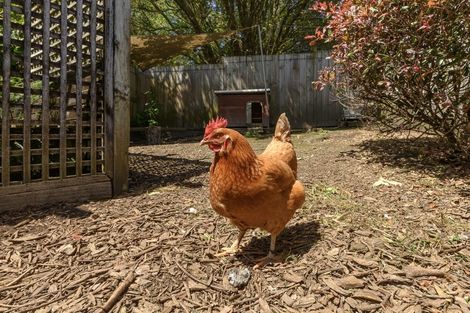 Photo of property in 928 Omanawa Road, Omanawa, Tauranga, 3171