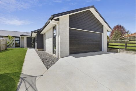 Photo of property in 71d Hall Street, Kihikihi, Te Awamutu, 3800