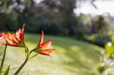 Photo of property in 1135 Scenic Drive North, Swanson, Auckland, 0816