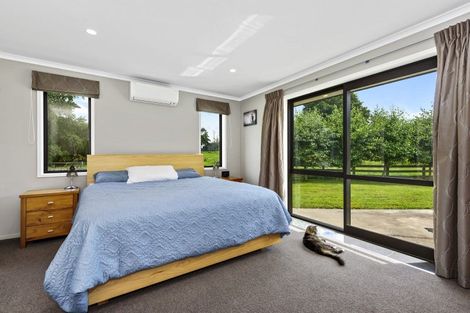 Photo of property in 21 Barrett Road, Temple View, Hamilton, 3290