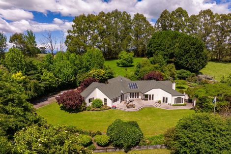 Photo of property in 319 State Highway 2, Mangateretere, Hastings, 4180