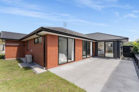 Photo of property in 266 Adler Drive, Ohauiti, Tauranga, 3112