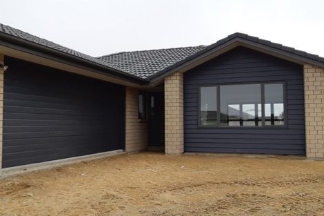 Photo of property in 224 Borman Road, Rototuna North, Hamilton, 3210