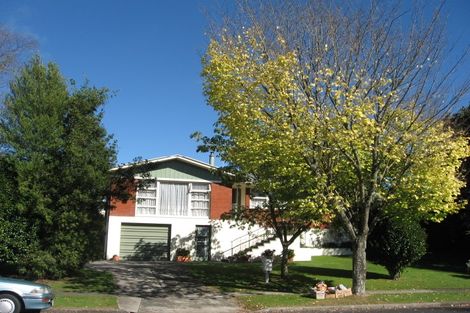 Photo of property in 20 Strathmore Drive, Tokoroa, 3420