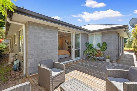 Photo of property in 19a Crescent Road, Otumoetai, Tauranga, 3110
