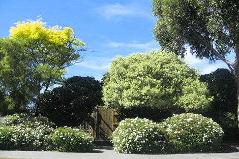 Photo of property in 38 Yellowstone Crescent, Burwood, Christchurch, 8083