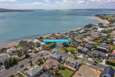 Photo of property in 65 Seacliffe Avenue, Belmont, Auckland, 0622