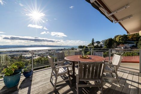 Photo of property in 21 Denholm Road, Hospital Hill, Napier, 4110