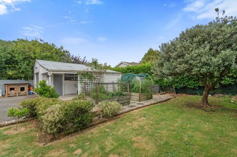 Photo of property in 100 South Road, Solway, Masterton, 5810