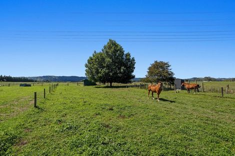 Photo of property in 99 Selwyn Road, Poroporo, Whakatane, 3193