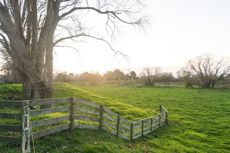 Photo of property in 191 Staces Road, Aokautere, Palmerston North, 4471