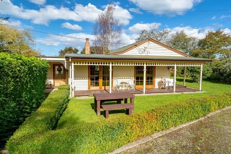 Photo of property in 64 Geelong Street, Waikouaiti, 9510