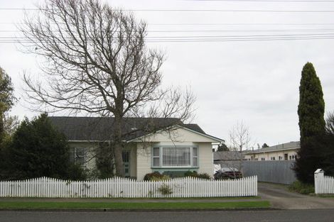 Photo of property in 8 Roosevelt Street, Levin, 5510
