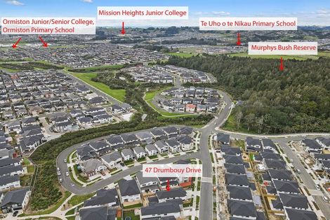 Photo of property in 47 Drumbuoy Drive, Flat Bush, Auckland, 2019