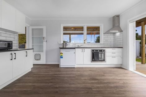 Photo of property in 8 Middlesex Street, Levin, 5510