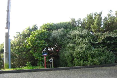 Photo of property in 13 Raymond Street, Bluff, 9814