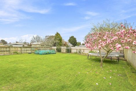 Photo of property in 8 Albert Street, Pahiatua, 4910