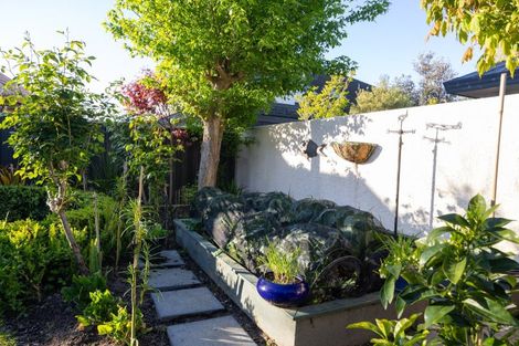 Photo of property in 65 Collingwood Street, Hokowhitu, Palmerston North, 4410