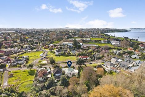 Photo of property in 22 Larsen Road, Panmure, Auckland, 1072