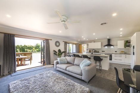 Photo of property in 294 Polson Hill Drive, Aokautere, Palmerston North, 4471