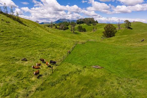 Photo of property in 319 State Highway 2, Mangateretere, Hastings, 4180