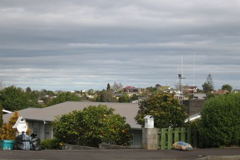 Photo of property in 121 Ellicott Road, Nawton, Hamilton, 3200