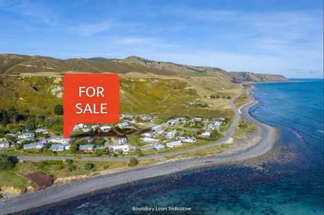 Photo of property in 17 Te Miha Crescent, Cape Palliser, Featherston, 5772