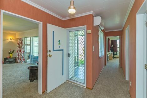 Photo of property in 20 Charles Street, Levin, 5510