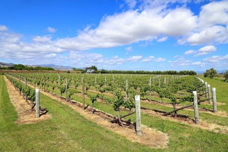 Photo of property in 166 Morgans Road, Grovetown, Blenheim, 7273