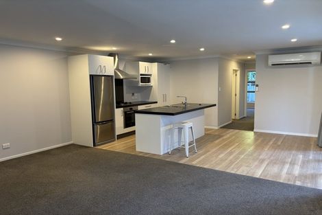 Photo of property in 17 Rugby Street, Mount Cook, Wellington, 6021