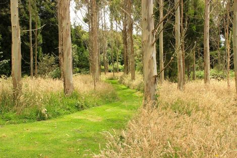 Photo of property in 828 Dover Road, Okato, New Plymouth, 4374