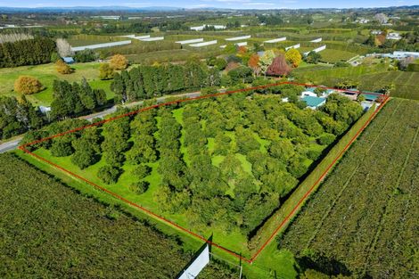 Photo of property in 204a No 2 Road, Te Puke, 3182