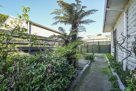 Photo of property in 3/623 Frederick Street, Mahora, Hastings, 4120