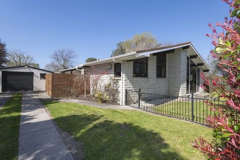 Photo of property in 16 Campion Road, Riverdale, Gisborne, 4010