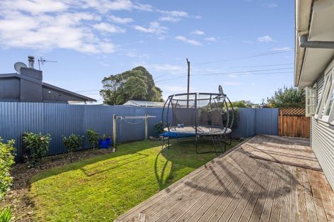 Photo of property in 22 Seddon Street, Levin, 5510