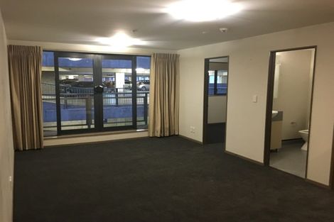 Photo of property in Dual Apartments, 103/142 Vivian Street, Te Aro, Wellington, 6011