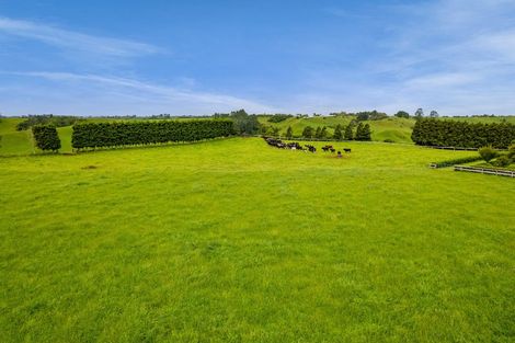 Photo of property in 325a Awai Road, Tarurutangi, New Plymouth, 4372