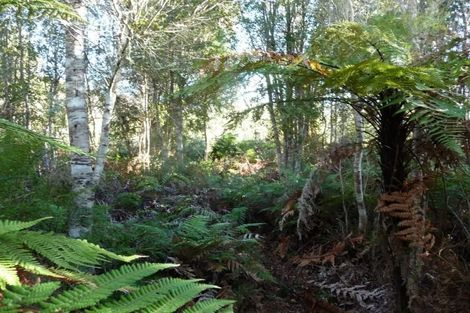 Photo of property in 32 Charming Creek Road, Seddonville, Westport, 7891