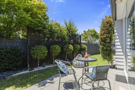 Photo of property in 5b Aaron Place, Brookfield, Tauranga, 3110