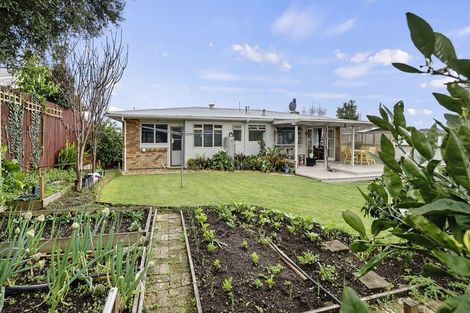 Photo of property in 87 Maungatapu Road, Maungatapu, Tauranga, 3112