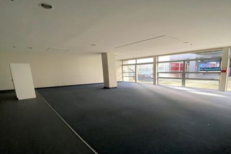 Photo of property in Hanson House, 2/27 Hanson Street, Mount Cook, Wellington, 6021