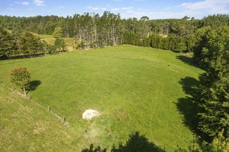 Photo of property in 10 Dairy Stream Road, Dairy Flat, Albany, 0794